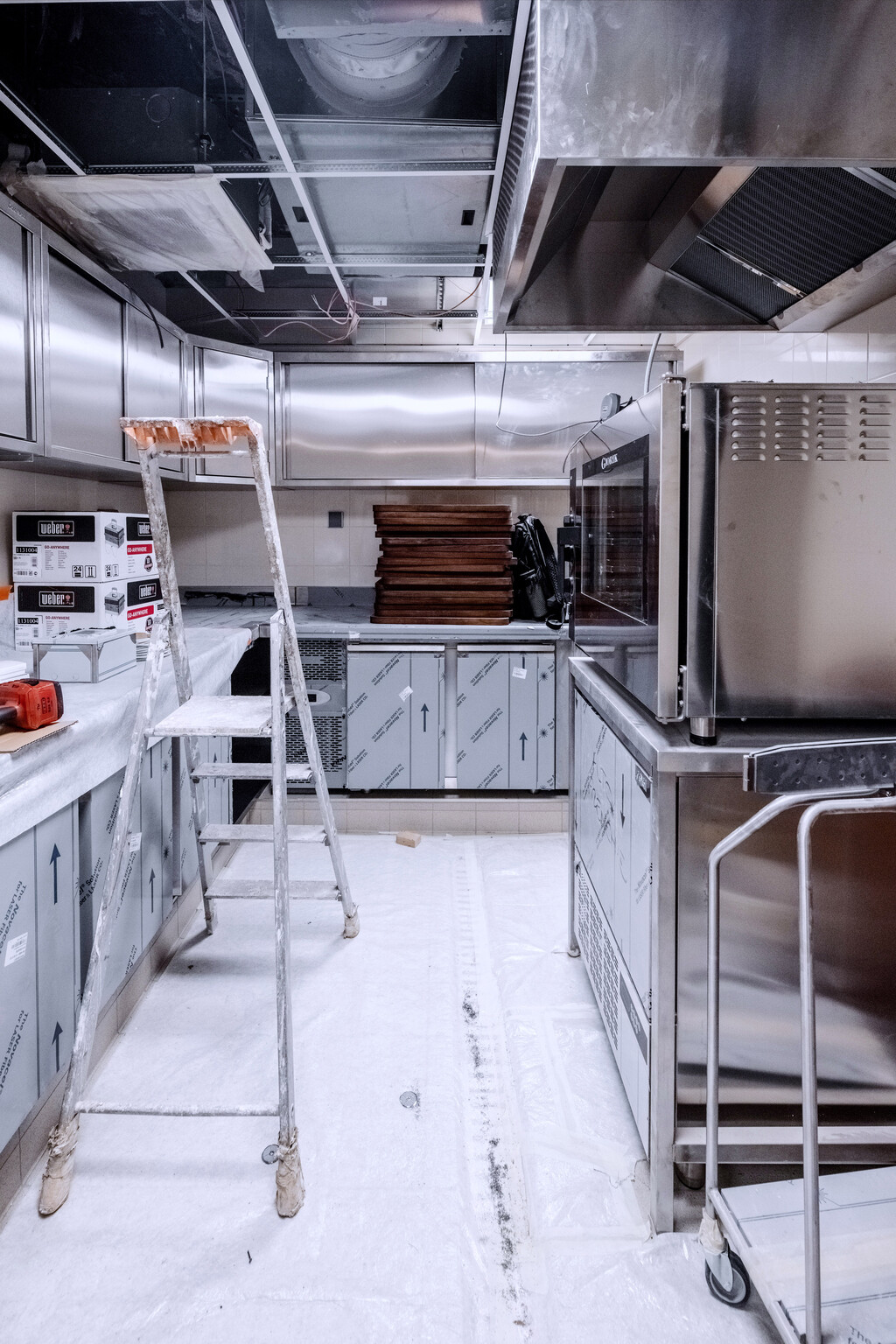 Altro Frenchie — EMILIE BONAVENTURE - © intech