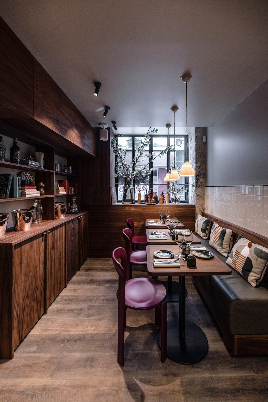 Altro Frenchie — EMILIE BONAVENTURE - © intech