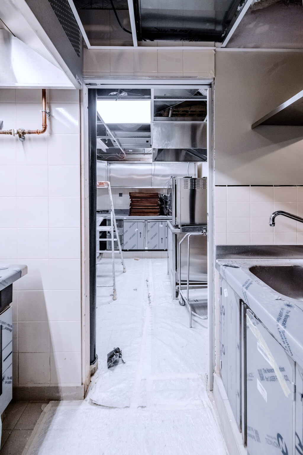 Altro Frenchie — EMILIE BONAVENTURE - © intech