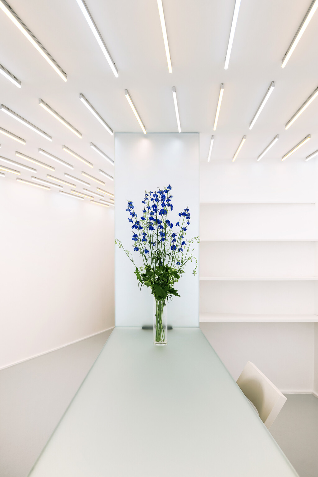 Gallery — RANDOM STUDIO - © intech