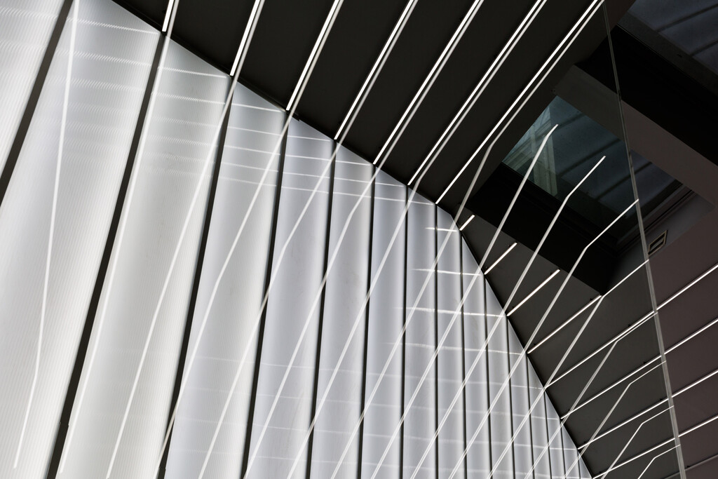 Shinzo Concept — RANDOM STUDIO - © intech