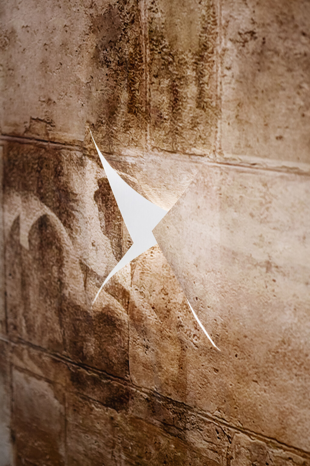 120 Ans — CROSBY STUDIO - © intech