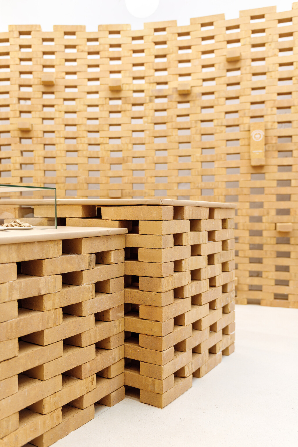 All Birds — JULES MESNY DESCHAMPS - © intech