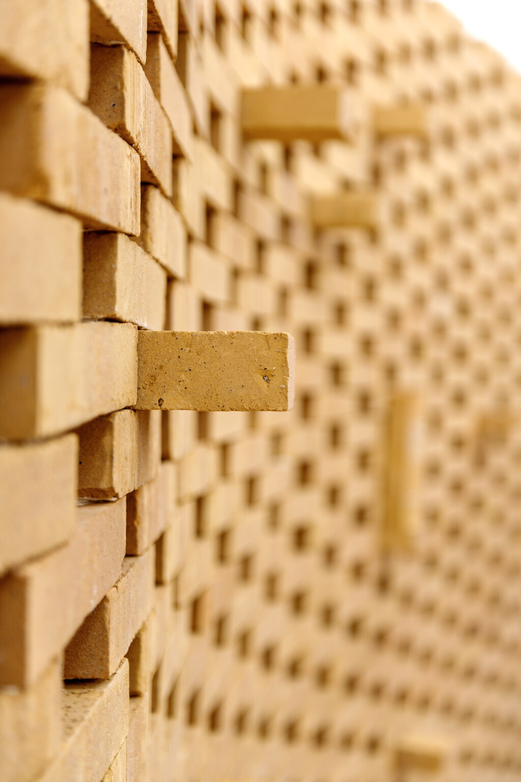 All Birds — JULES MESNY DESCHAMPS - © intech