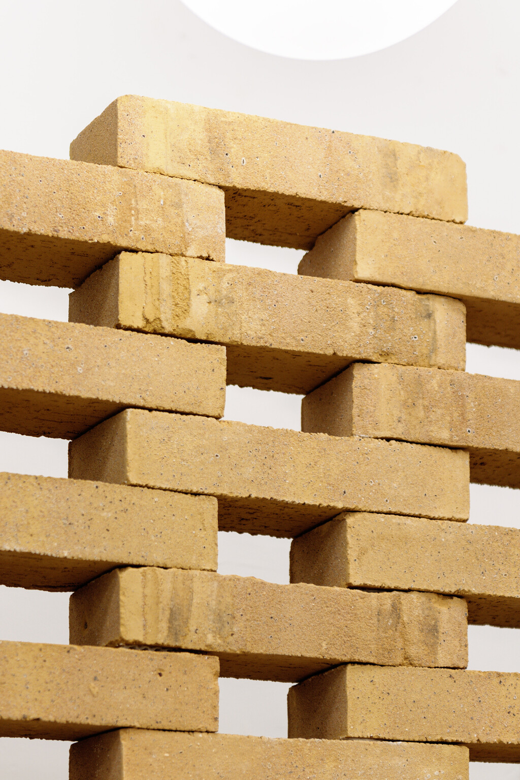 All Birds — JULES MESNY DESCHAMPS - © intech