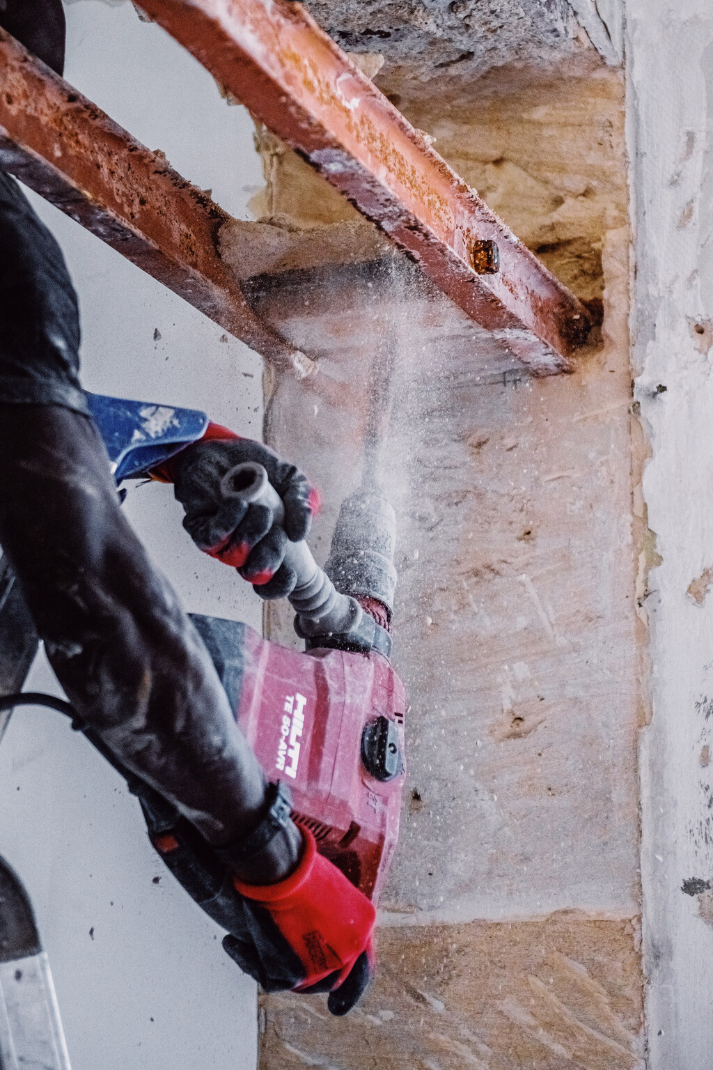 Francois 1er - © intech